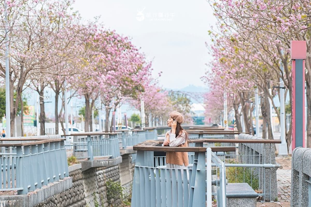 2026北屯美食地圖!台中漢神百貨周邊20間餐廳推薦,順遊限定花海 2026北屯美食地圖!台中漢神百貨周邊20間餐廳推薦,順遊限定花海