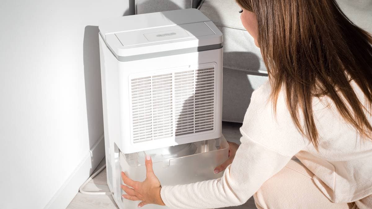 人在房間可開除濕機?台電給答案「濕度設定這範圍」最安全,搭配1物效率高