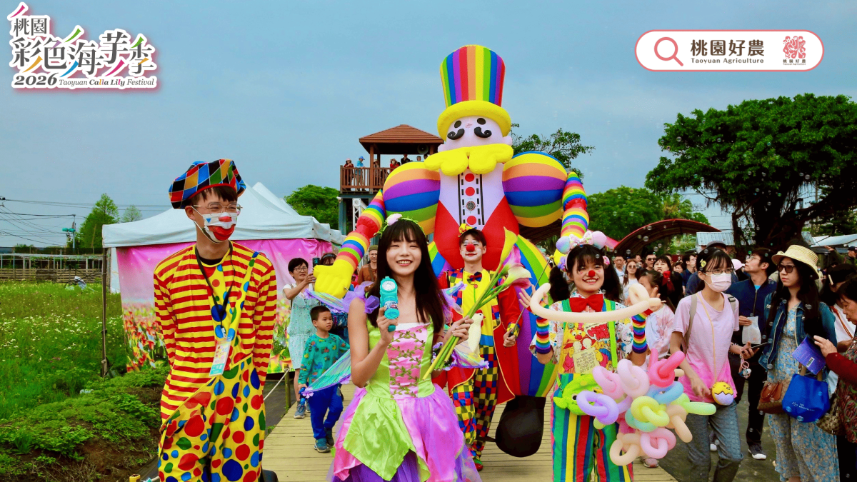 桃園彩色海芋季落幕!17天湧120萬人次朝聖 桃園彩色海芋季落幕!17天湧120萬人次朝聖