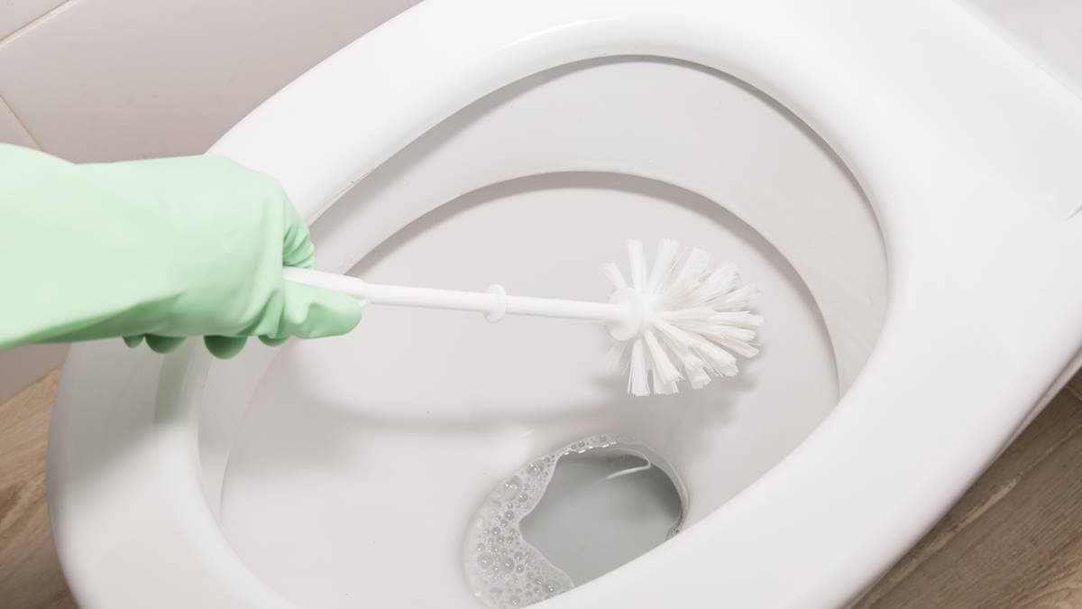 馬桶黃垢刷不掉怎麼辦?達人「用1物」快速除垢,不用力刷洗也能變乾淨