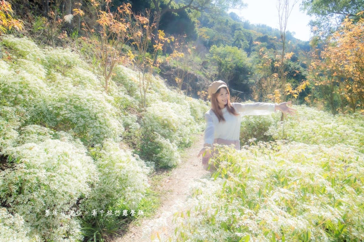 全台繡球花景點推薦:8千坪夢幻花海、山林秘境、歐式莊園小火車必打卡 全台繡球花景點推薦:8千坪夢幻花海、山林秘境、歐式莊園小火車必打卡