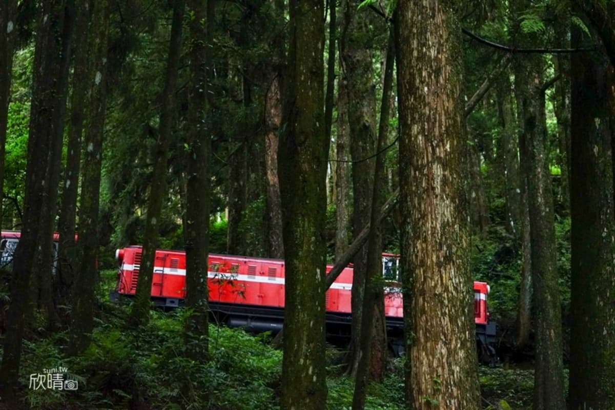 全台繡球花景點推薦:8千坪夢幻花海、山林秘境、歐式莊園小火車必打卡 全台繡球花景點推薦:8千坪夢幻花海、山林秘境、歐式莊園小火車必打卡