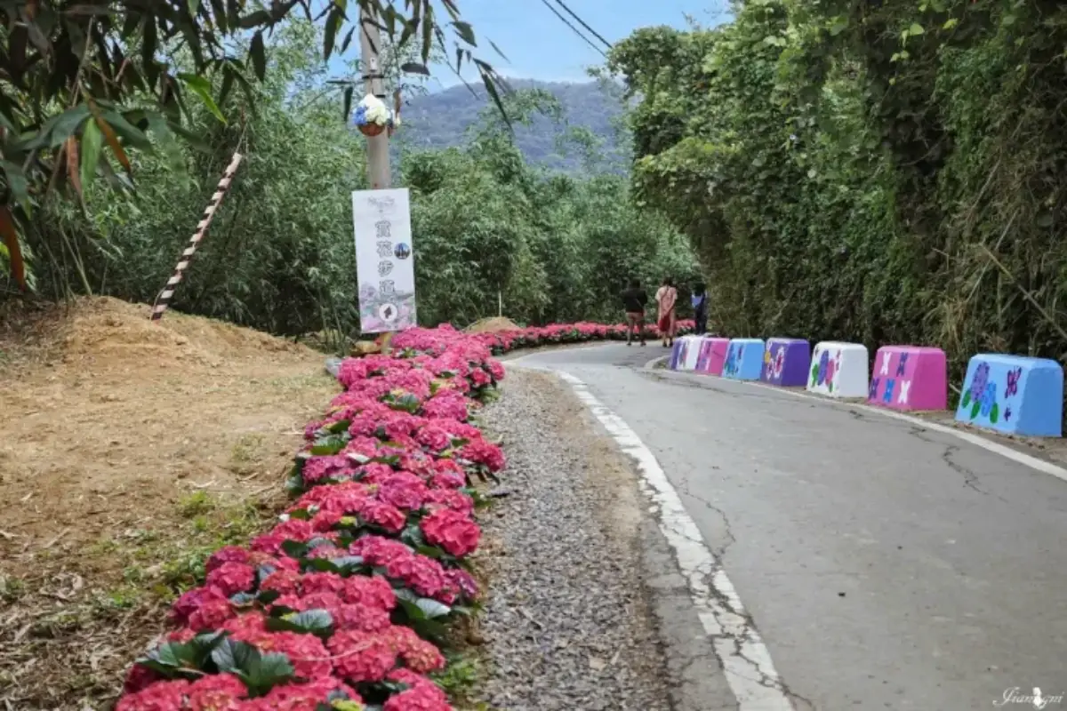 全台繡球花景點推薦:8千坪夢幻花海、山林秘境、歐式莊園小火車必打卡 全台繡球花景點推薦:8千坪夢幻花海、山林秘境、歐式莊園小火車必打卡