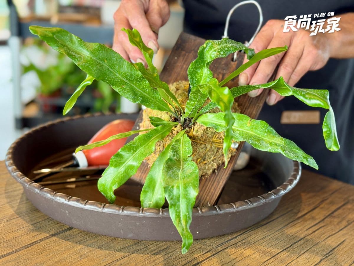 近距離互動水豚寶寶!入住宜蘭綠舞送斑比山丘門票+禮包,春季旅展優惠開搶 近距離互動水豚寶寶!入住宜蘭綠舞送斑比山丘門票+禮包,春季旅展優惠開搶