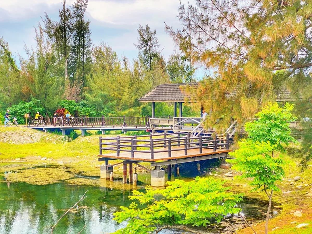 「台東森林公園」這天起免費入園!280公頃秘境暢遊,必衝琵琶湖、綠色隧道 「台東森林公園」這天起免費入園!280公頃秘境暢遊,必衝琵琶湖、綠色隧道