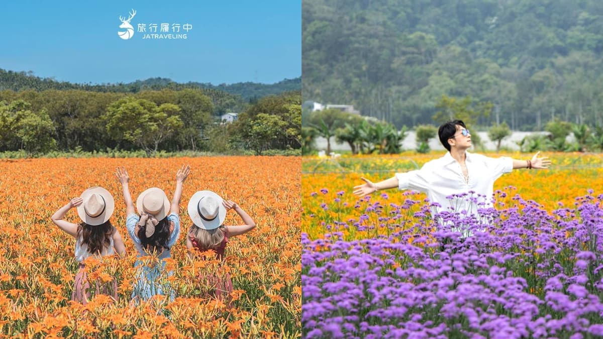 天使的花毯在這!上萬坪七彩金針花、紫色馬鞭草花海美翻,門票只要100元