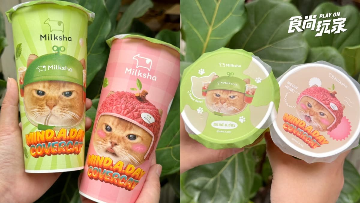 根本是貓奴專屬手搖!迷客夏推荔枝新品、夏季飲品菜單,貓咪超Q周邊一次收 根本是貓奴專屬手搖!迷客夏推荔枝新品、夏季飲品菜單,貓咪超Q周邊一次收