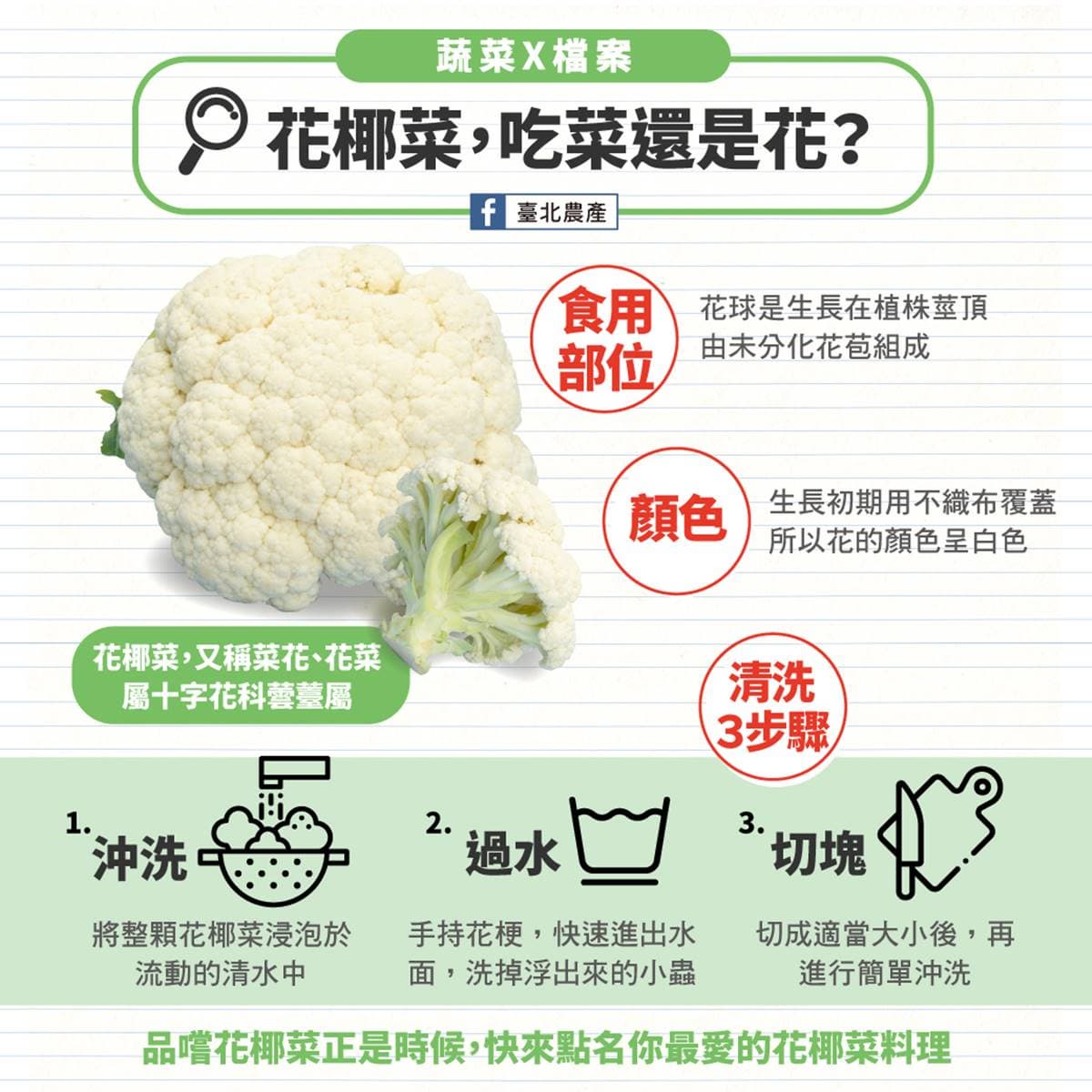 洗花椰菜別加鹽巴、小蘇打粉!專家教1招讓蟲蟲自然浮出,做錯恐讓農藥滲入 洗花椰菜別加鹽巴、小蘇打粉!專家教1招讓蟲蟲自然浮出,做錯恐讓農藥滲入