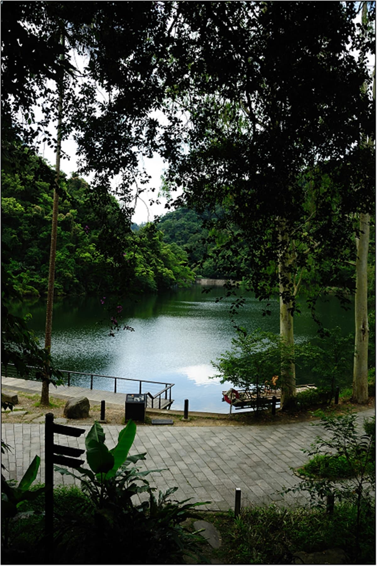 桃園大溪「秘境步道」暌違3年重開放!6/21前免門票,預約攻略一次看 桃園大溪「秘境步道」暌違3年重開放!6/21前免門票,預約攻略一次看