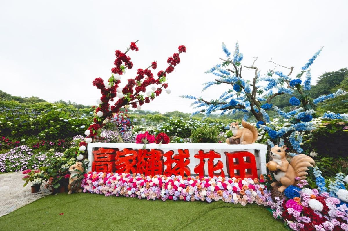 全台最大「萬坪繡球花海」在新北!繽紛色彩超夢幻,母親節連3天送冰淇淋 全台最大「萬坪繡球花海」在新北!繽紛色彩超夢幻,母親節連3天送冰淇淋