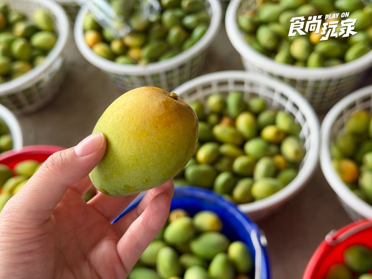 夏季最夯水果特價!農民親授「西瓜、芒果」挑選方式,口感+必吃推薦一次看 夏季最夯水果特價!農民親授「西瓜、芒果」挑選方式,口感+必吃推薦一次看