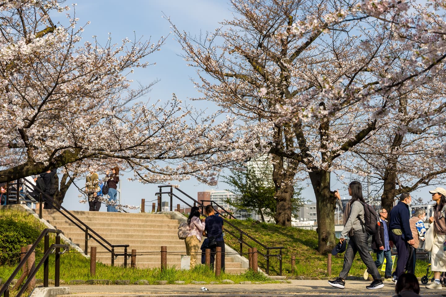 全球最幸福城市排行出爐!東京衝上第5名,台灣2城市擠進前50強 全球最幸福城市排行出爐!東京衝上第5名,台灣2城市擠進前50強