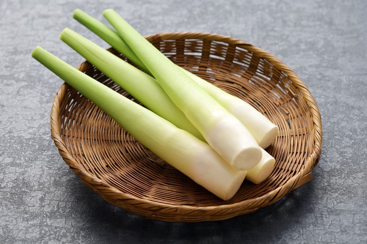 小滿當季!茭白筍黑點能吃嗎?不是發霉也不是蟲,一張圖看「美人腿」挑選關鍵 小滿當季!茭白筍黑點能吃嗎?不是發霉也不是蟲,一張圖看「美人腿」挑選關鍵