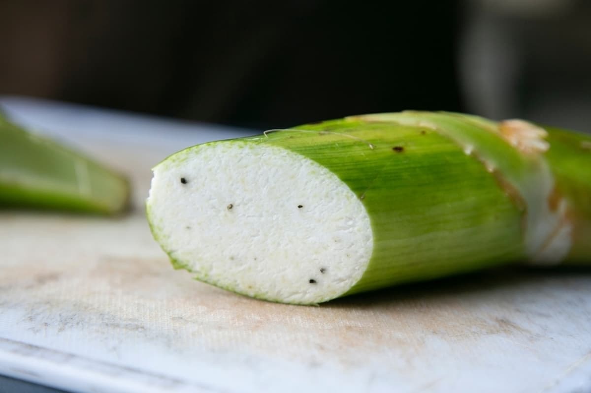 小滿當季!茭白筍黑點能吃嗎?不是發霉也不是蟲,一張圖看「美人腿」挑選關鍵 小滿當季!茭白筍黑點能吃嗎?不是發霉也不是蟲,一張圖看「美人腿」挑選關鍵