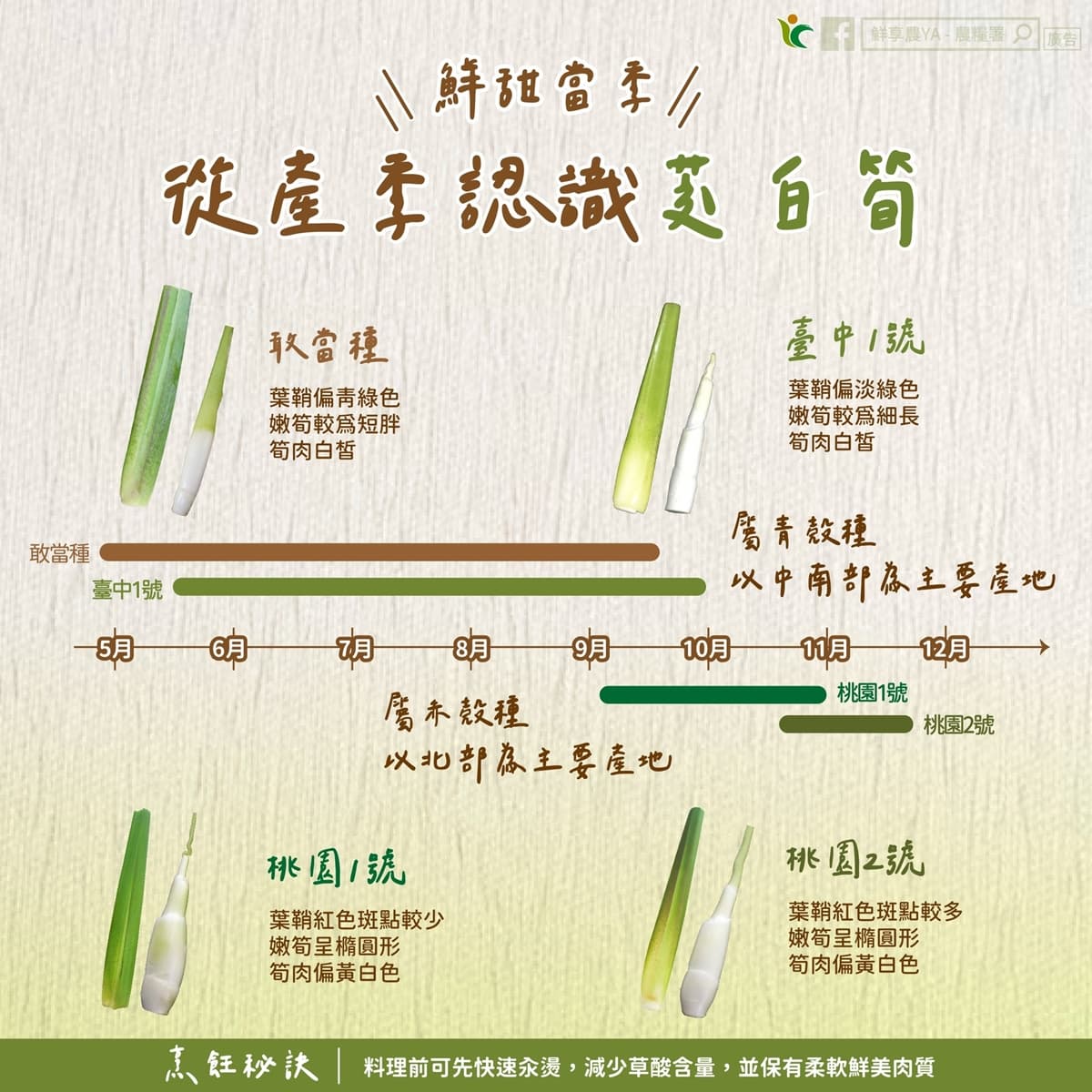 小滿當季!茭白筍黑點能吃嗎?不是發霉也不是蟲,一張圖看「美人腿」挑選關鍵 小滿當季!茭白筍黑點能吃嗎?不是發霉也不是蟲,一張圖看「美人腿」挑選關鍵