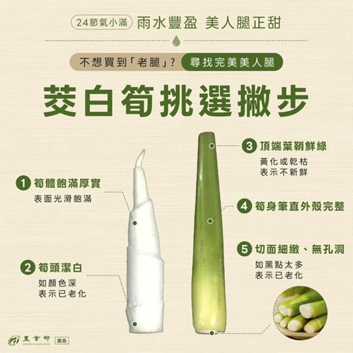 小滿當季!茭白筍黑點能吃嗎?不是發霉也不是蟲,一張圖看「美人腿」挑選關鍵 小滿當季!茭白筍黑點能吃嗎?不是發霉也不是蟲,一張圖看「美人腿」挑選關鍵