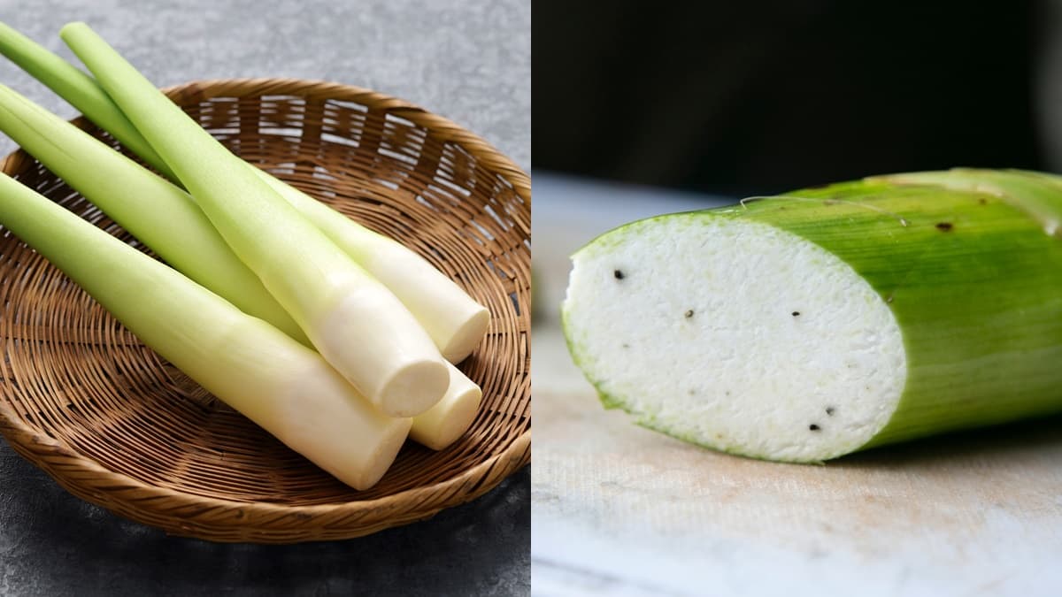 小滿當季!茭白筍黑點能吃嗎?不是發霉也不是蟲,一張圖看「美人腿」挑選關鍵