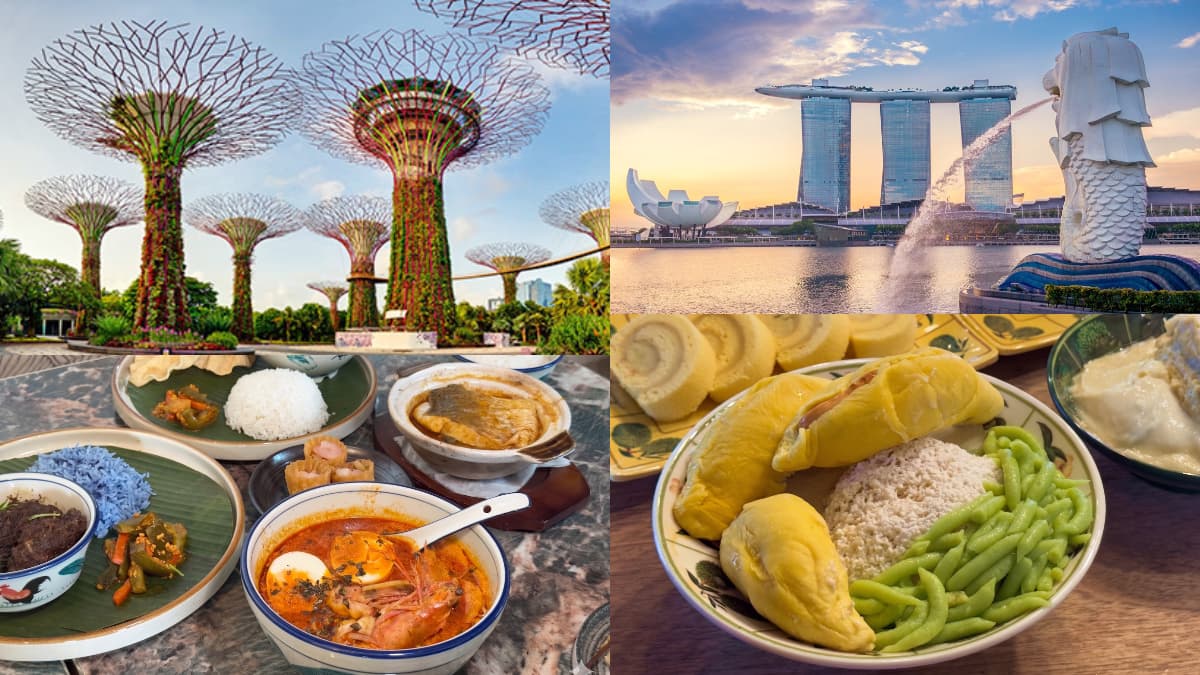 2026新加坡旅遊攻略16大!親子必衝最新海洋館、米其林美食、伴手禮一次看