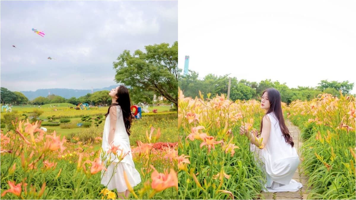 台中免門票金針花景點!美拍16公頃橘紅花海綻放,漫天風箏同框好浪漫