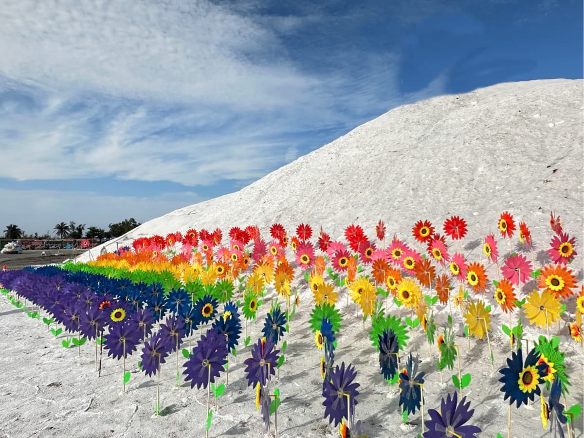 皮克敏聖地!七股鹽山「彩虹風車花海」爆紅,12處花菇點、稀有山丘皮克敏 皮克敏聖地!七股鹽山「彩虹風車花海」爆紅,12處花菇點、稀有山丘皮克敏