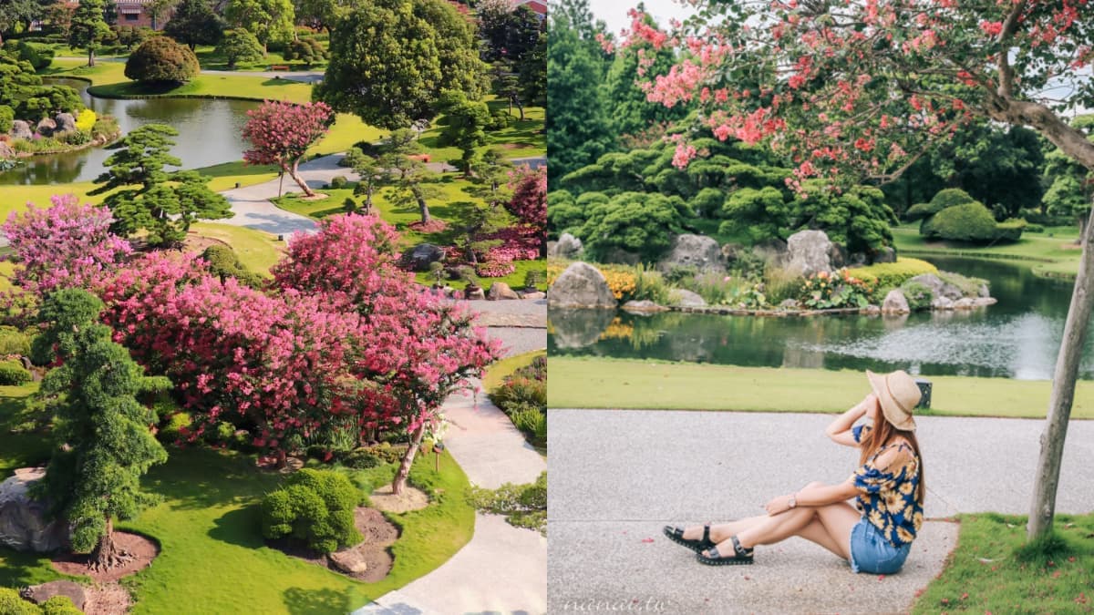 名字同音「端午節」連假免門票!開逛中部最美「百日紅花園」,日式庭園超好拍
