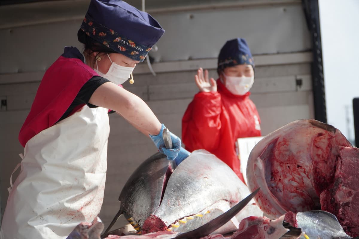 盛夏海港饗宴!屏東黑鮪魚季:百攤市集、鮪魚解體秀、免費送鮪魚料理 盛夏海港饗宴!屏東黑鮪魚季:百攤市集、鮪魚解體秀、免費送鮪魚料理