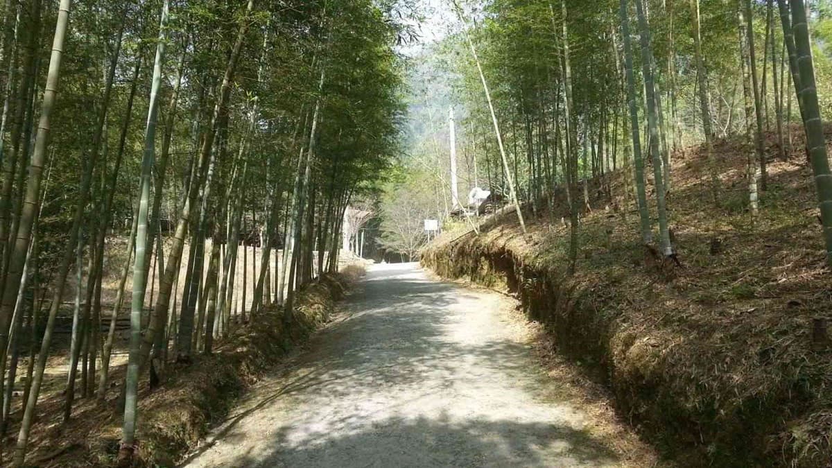 南投全新地標!「竹山天梯纜車」最快這時完工,4大車站串聯峽谷、瀑布美景 南投全新地標!「竹山天梯纜車」最快這時完工,4大車站串聯峽谷、瀑布美景
