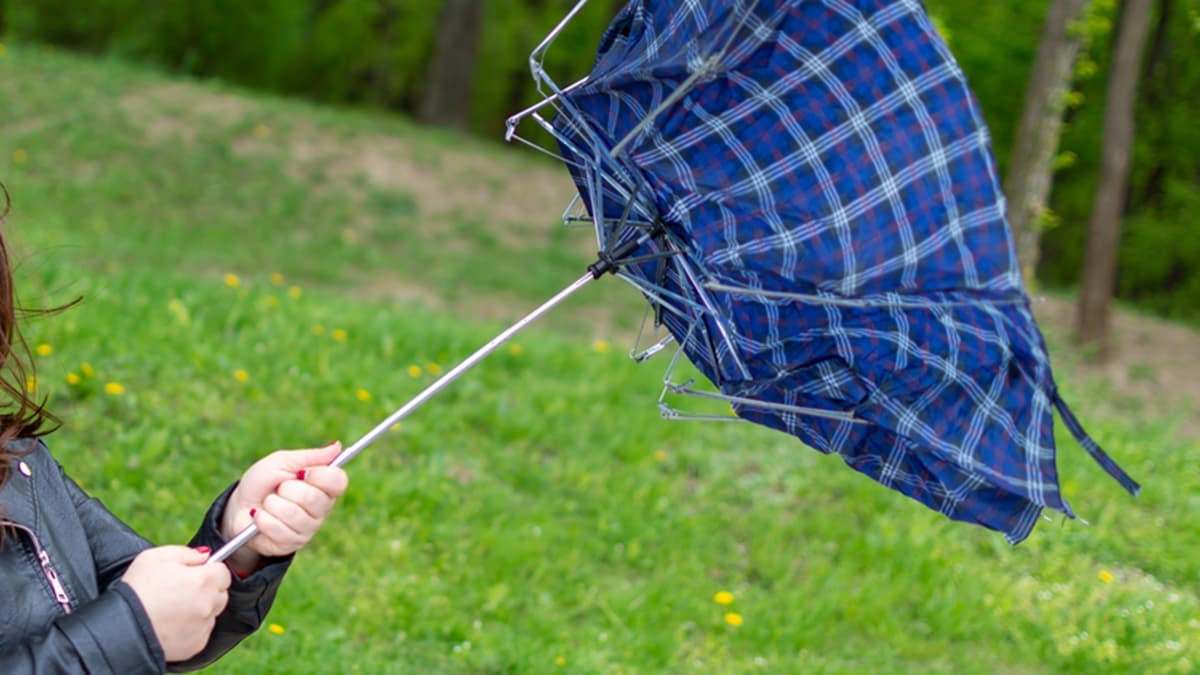 雨傘壞掉怎麼修?達人用1物幫傘延壽超牢固,加碼壞傘回收法做錯罰6000元