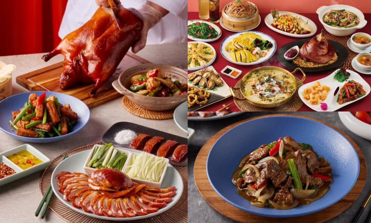 快拿身分證!對中「8、2、5、7」免費吃王品,享鴨送蒜酥鴨、飲品無限續