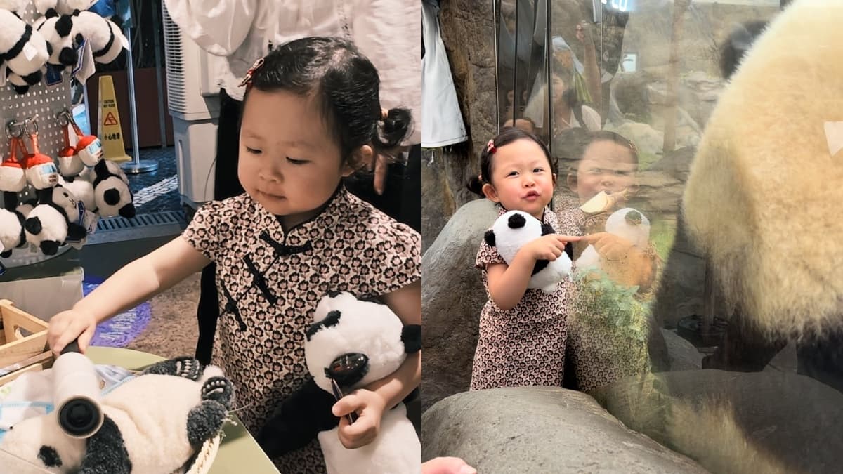 熊貓變大了!湘荷妹妹前進香港海洋公園
