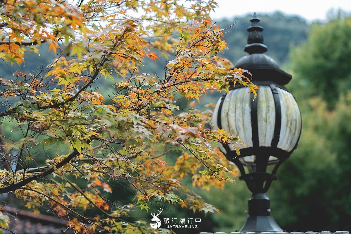 全民門票一律10元!避暑森林秘境「奧萬大」限時優惠,1樂園憑證件免費玩 全民門票一律10元!避暑森林秘境「奧萬大」限時優惠,1樂園憑證件免費玩