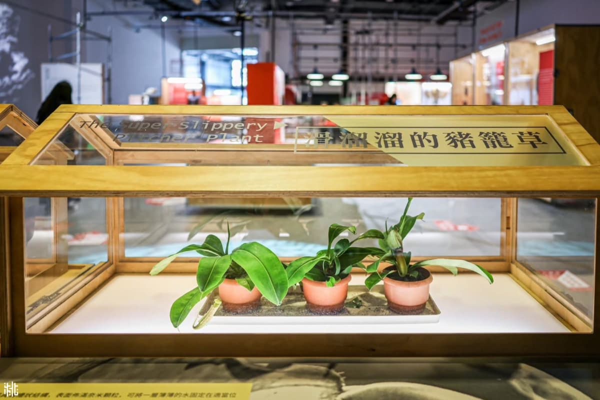 暑假免費展覽在這!0 元看8K森林劇場、打卡2D漫畫世界,還能集章換小禮物 暑假免費展覽在這!0 元看8K森林劇場、打卡2D漫畫世界,還能集章換小禮物