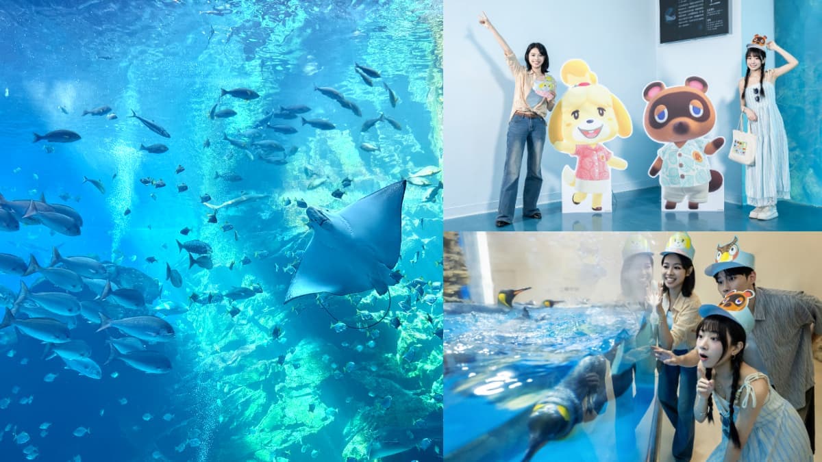 《動物森友會》角色出沒Xpark!免費玩任天堂遊戲機送貼紙,8折星光票回歸