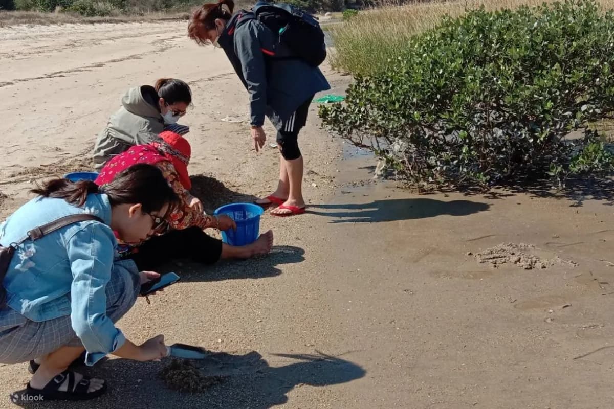 暑假衝離島!6大必玩玩法懶人包,花火節、海龜共游、藍眼淚、跳島行程一次看 暑假衝離島!6大必玩玩法懶人包,花火節、海龜共游、藍眼淚、跳島行程一次看