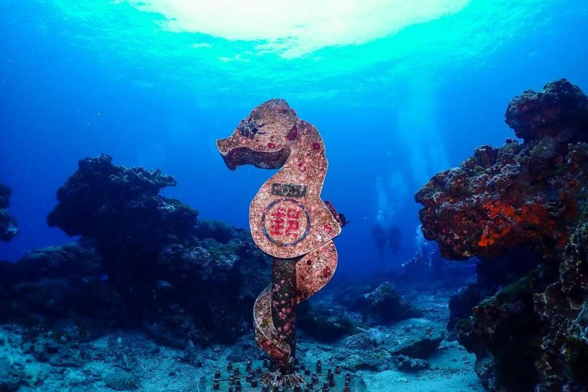 暑假衝離島!6大必玩玩法懶人包,花火節、海龜共游、藍眼淚、跳島行程一次看 暑假衝離島!6大必玩玩法懶人包,花火節、海龜共游、藍眼淚、跳島行程一次看