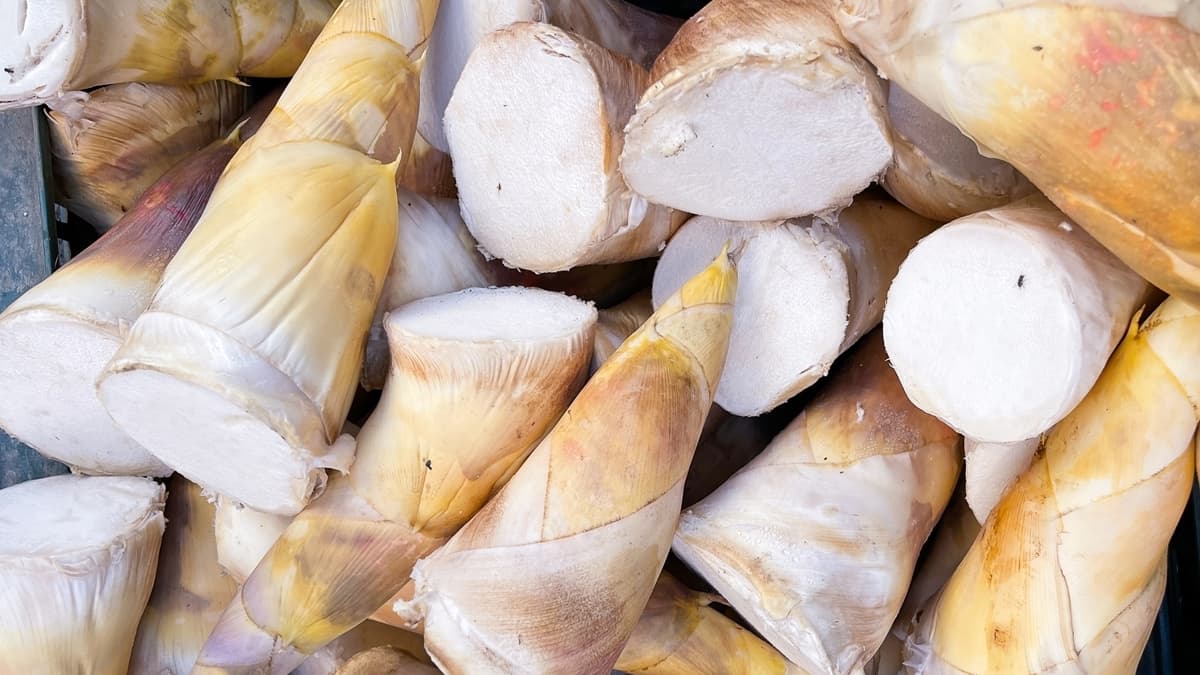 竹筍怎麼煮才不會苦?農業部教1招鮮甜爽脆,加碼吃竹筍禁忌「這些人小心」
