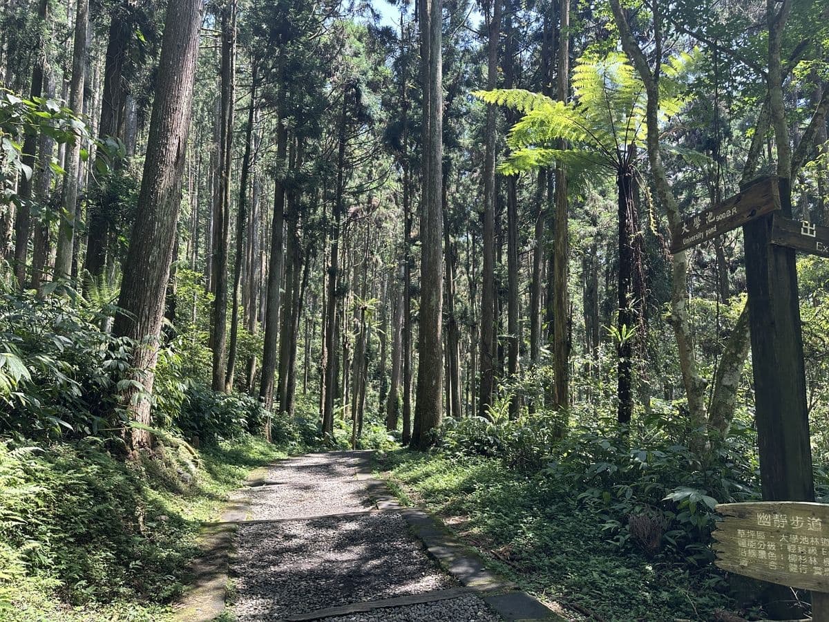 暑假放鬆免出國!2大森林避暑度假勝地推薦:入住綠意景觀房、美拍戶外泳池 暑假放鬆免出國!2大森林避暑度假勝地推薦:入住綠意景觀房、美拍戶外泳池