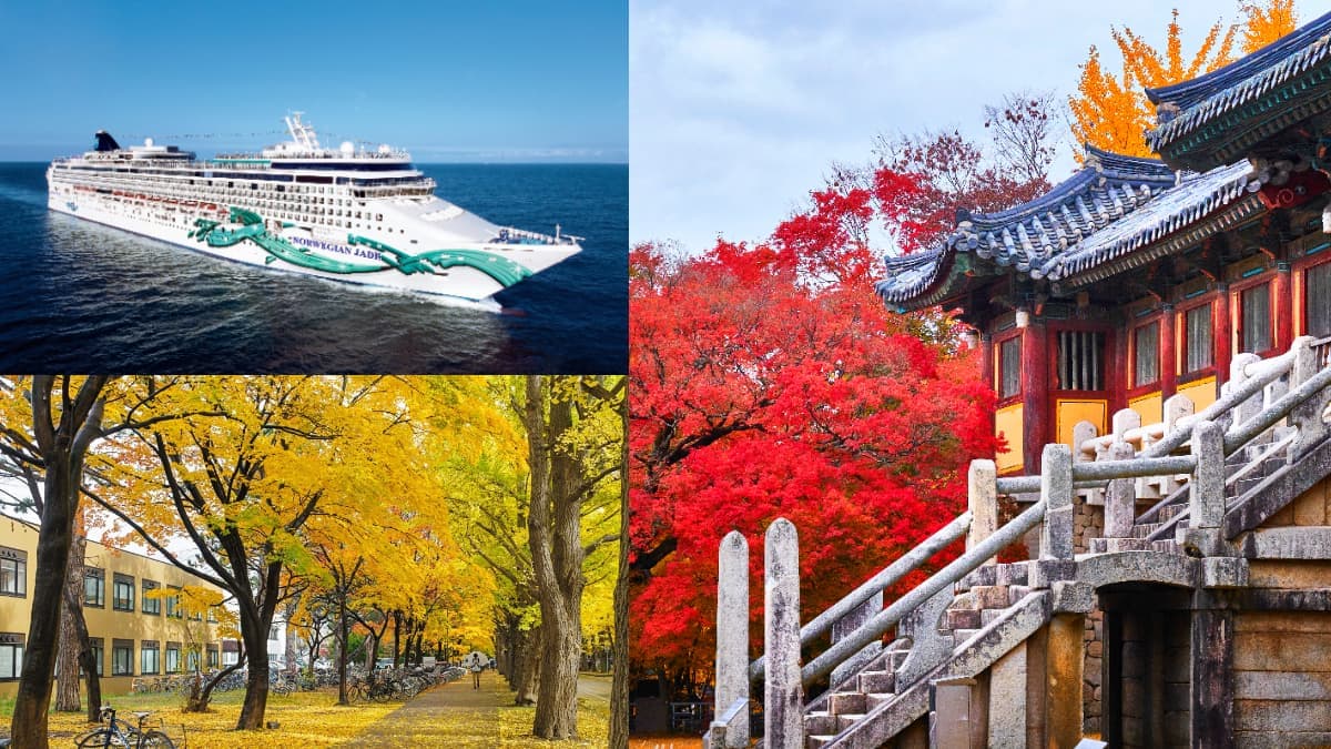 限時免費索票入場!2026台北夏季旅展必看優惠:出國免萬元行程、天天抽機票