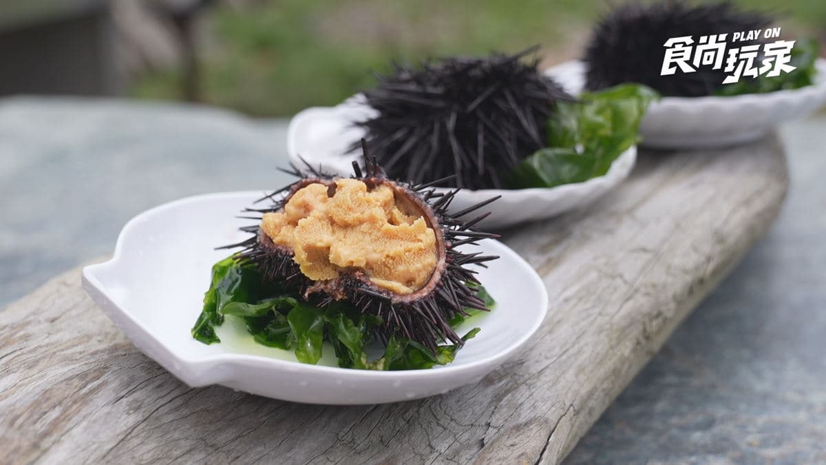 東北角一路吃到宜蘭!超狂泰式火山排骨、奢華炭烤鰻魚套餐,2天1夜山海美食攻略 東北角一路吃到宜蘭!超狂泰式火山排骨、奢華炭烤鰻魚套餐,2天1夜山海美食攻略