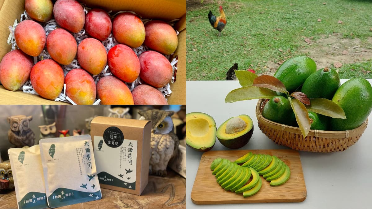 台南小農平台上線!產地直送愛文芒果、酪梨、東山咖啡,滿千送150元果乾