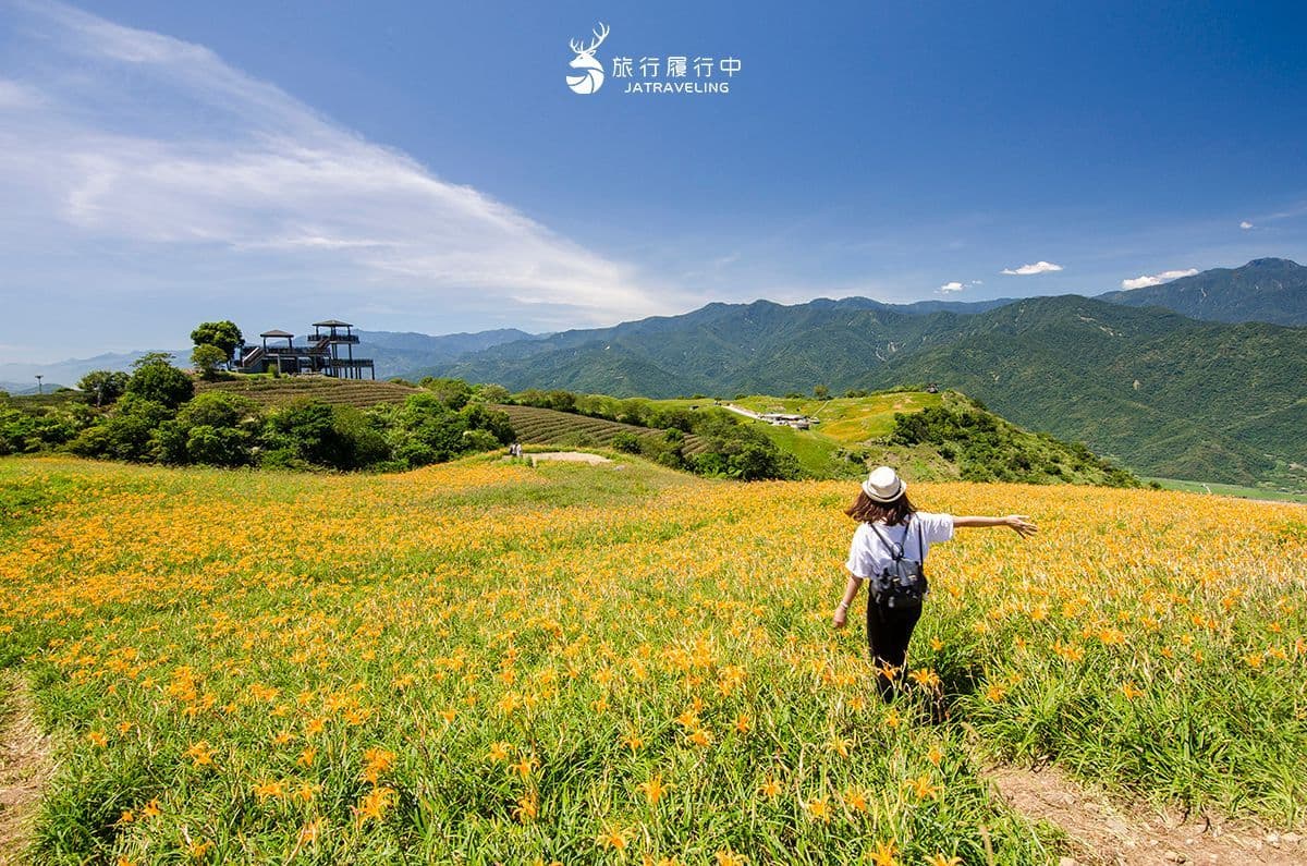 2026花蓮金針花季開跑!合照卡娜赫拉巨型氣球,賞花景點推薦、即時花況直播 2026花蓮金針花季開跑!合照卡娜赫拉巨型氣球,賞花景點推薦、即時花況直播