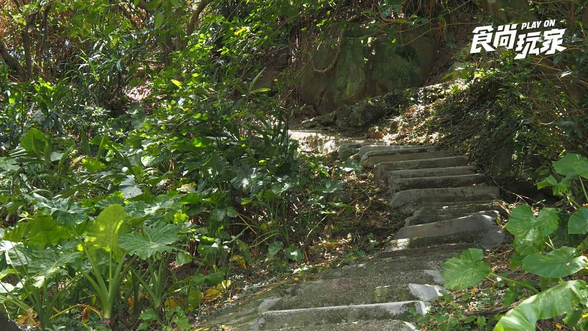 北海岸沙灘秘境!「攀繩索」下切才能抵達,順遊龜吼漁港吃現剖海膽、海鮮大餐 北海岸沙灘秘境!「攀繩索」下切才能抵達,順遊龜吼漁港吃現剖海膽、海鮮大餐