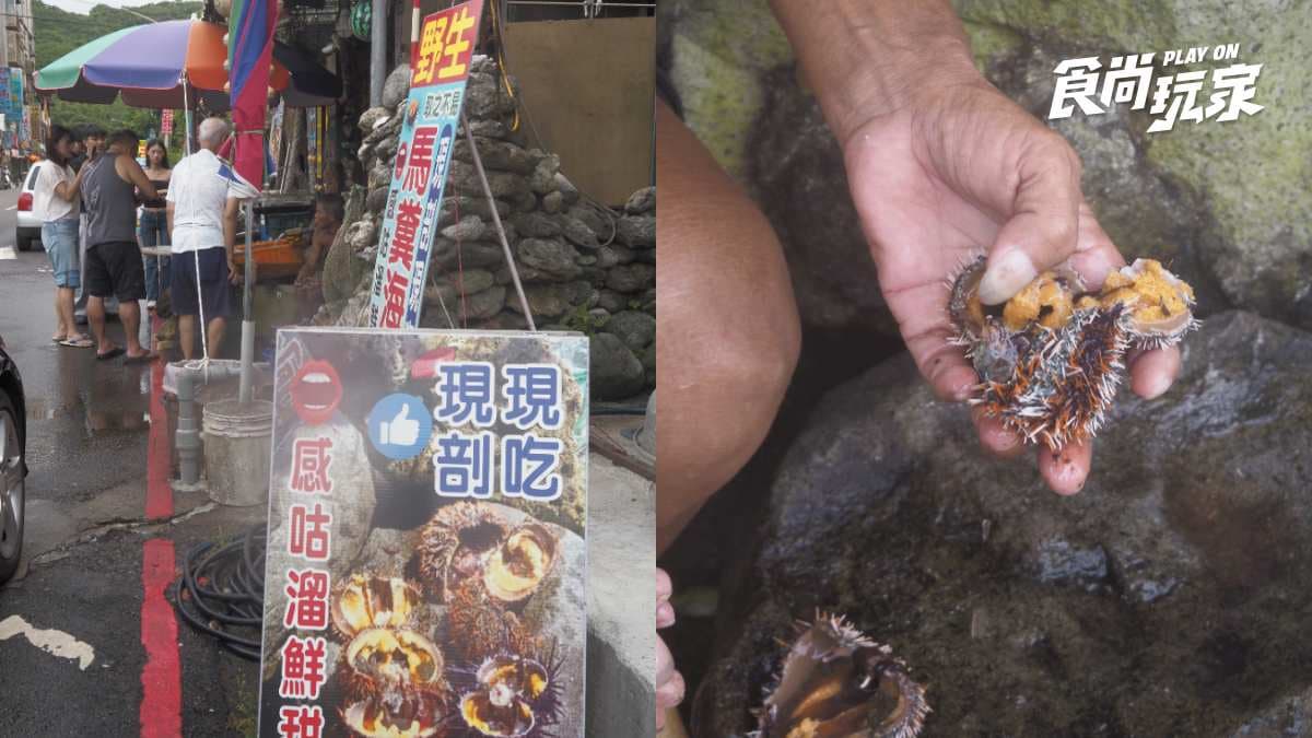 北海岸沙灘秘境!「攀繩索」下切才能抵達,順遊龜吼漁港吃現剖海膽、海鮮大餐 北海岸沙灘秘境!「攀繩索」下切才能抵達,順遊龜吼漁港吃現剖海膽、海鮮大餐