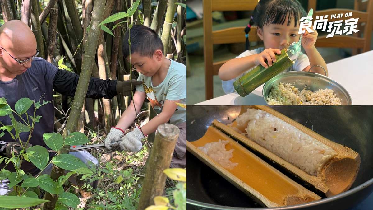 夏天就是要挖竹筍!走訪200年綠竹園農場,職人帶路砍竹子、DIY竹筒飯