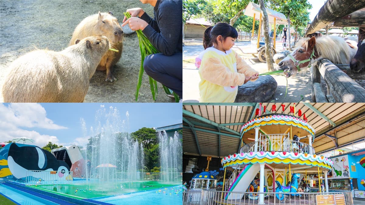 動物園、水樂園一票玩到底!台南高CP值親子景點玩整天,遊樂設施無限搭乘