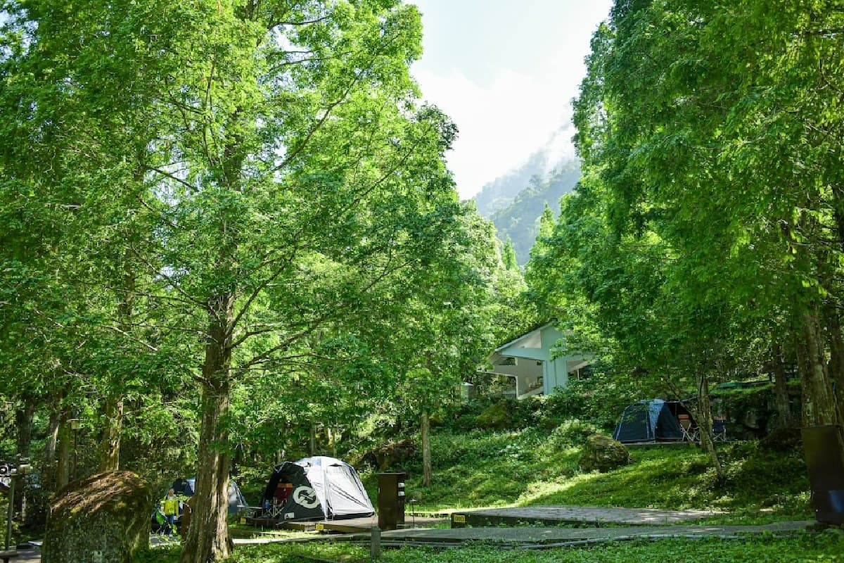 老屋變綠建築、智慧低碳露營!6間「綠生態永續」住宿推薦,投票抽住宿券 老屋變綠建築、智慧低碳露營!6間「綠生態永續」住宿推薦,投票抽住宿券