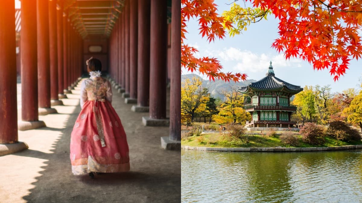 銀杏大道、宮殿紅葉!首爾10大賞楓秘境:「鬼怪」拍攝地、纜車美景一次收藏 銀杏大道、宮殿紅葉!首爾10大賞楓秘境:「鬼怪」拍攝地、纜車美景一次收藏