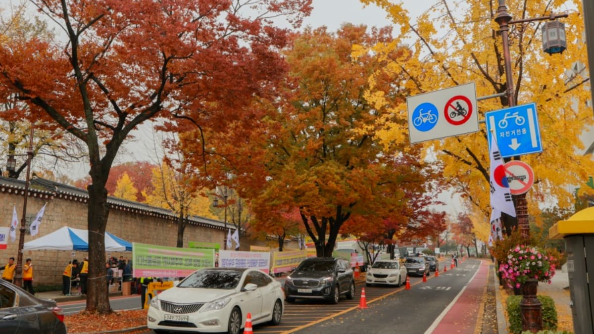 銀杏大道、宮殿紅葉!首爾10大賞楓秘境:「鬼怪」拍攝地、纜車美景一次收藏 銀杏大道、宮殿紅葉!首爾10大賞楓秘境:「鬼怪」拍攝地、纜車美景一次收藏