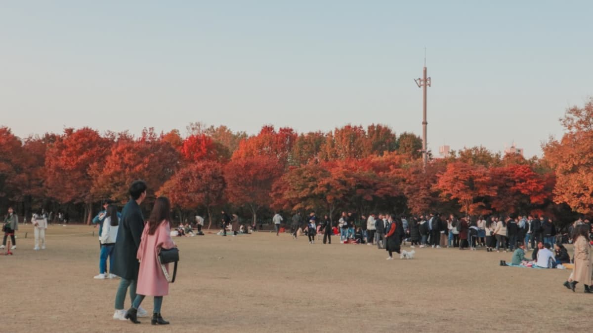 銀杏大道、宮殿紅葉!首爾10大賞楓秘境:「鬼怪」拍攝地、纜車美景一次收藏 銀杏大道、宮殿紅葉!首爾10大賞楓秘境:「鬼怪」拍攝地、纜車美景一次收藏