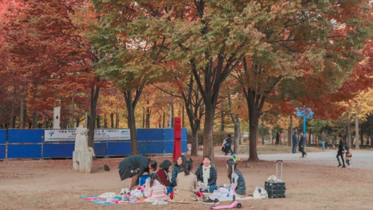 銀杏大道、宮殿紅葉!首爾10大賞楓秘境:「鬼怪」拍攝地、纜車美景一次收藏 銀杏大道、宮殿紅葉!首爾10大賞楓秘境:「鬼怪」拍攝地、纜車美景一次收藏
